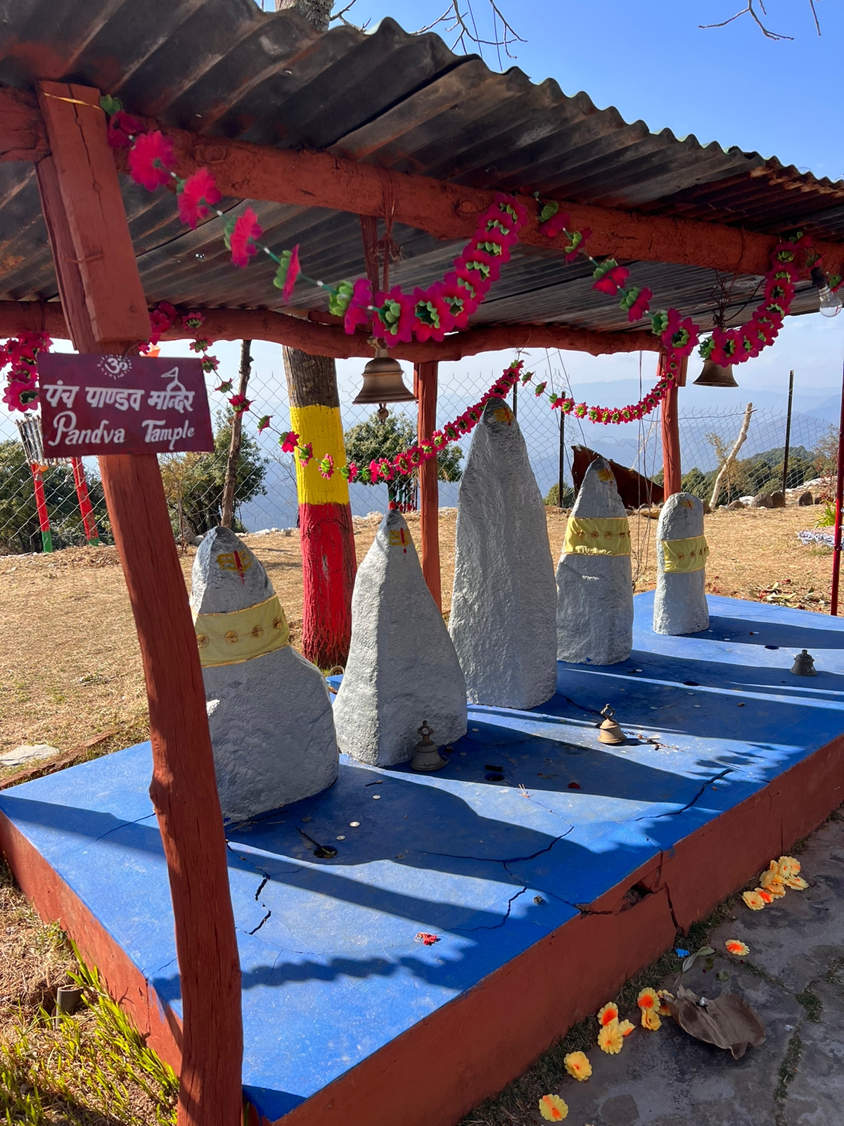 Image 14